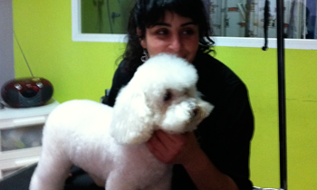 nuestra-peluqueria-canina