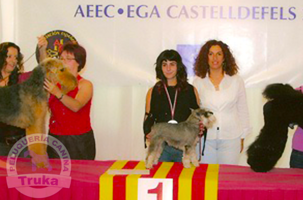 Peluquería Canina Madrid - Curso peluquería perros